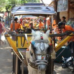 Our horse and cart in Gili Trawangan (Gili T. Island)