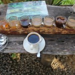 Coffee tasting at the coffee plantation in Ubud, Bali.