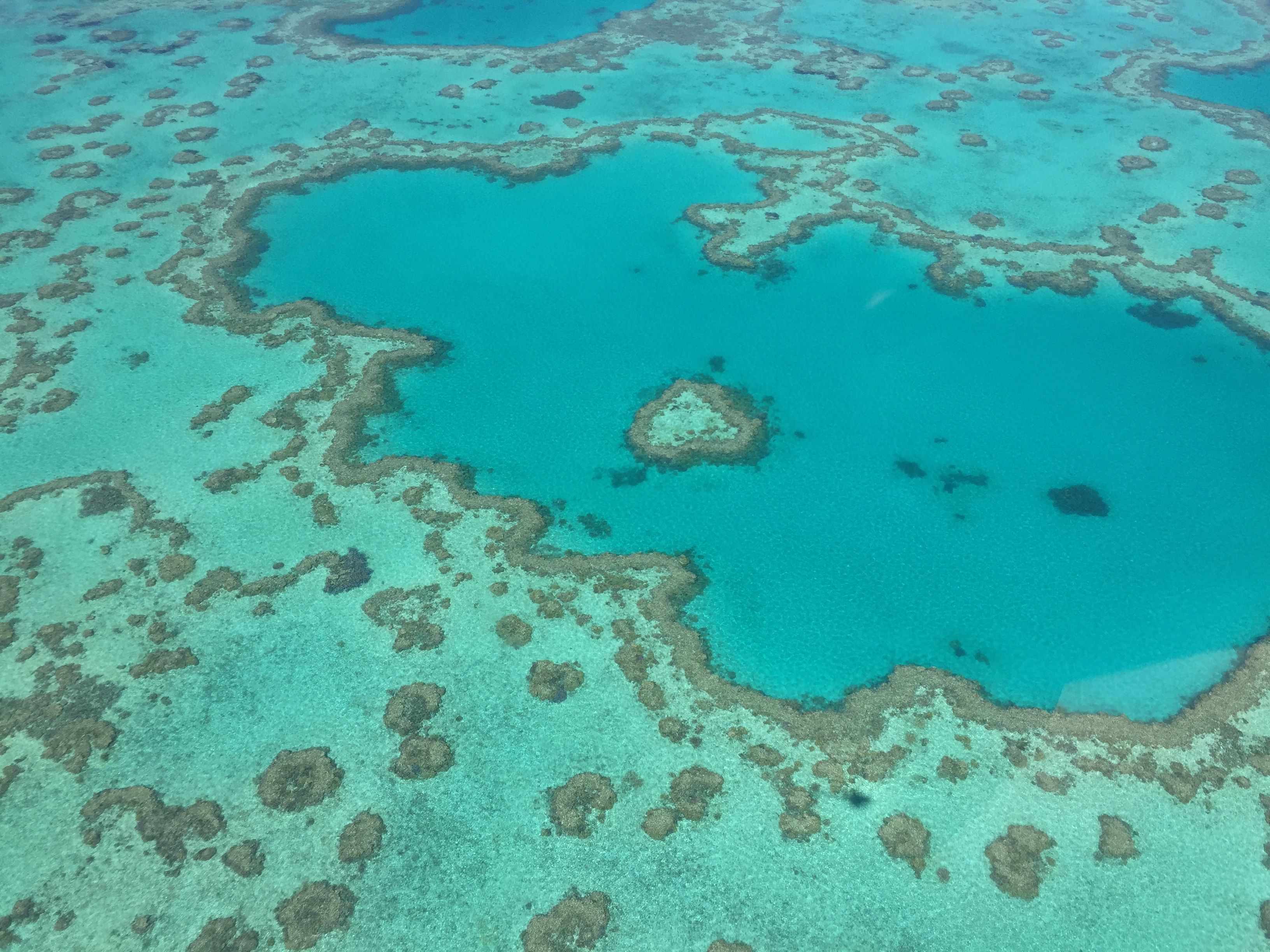 Great Barrier Reef with Best of Both Worlds Helicopter Tour
