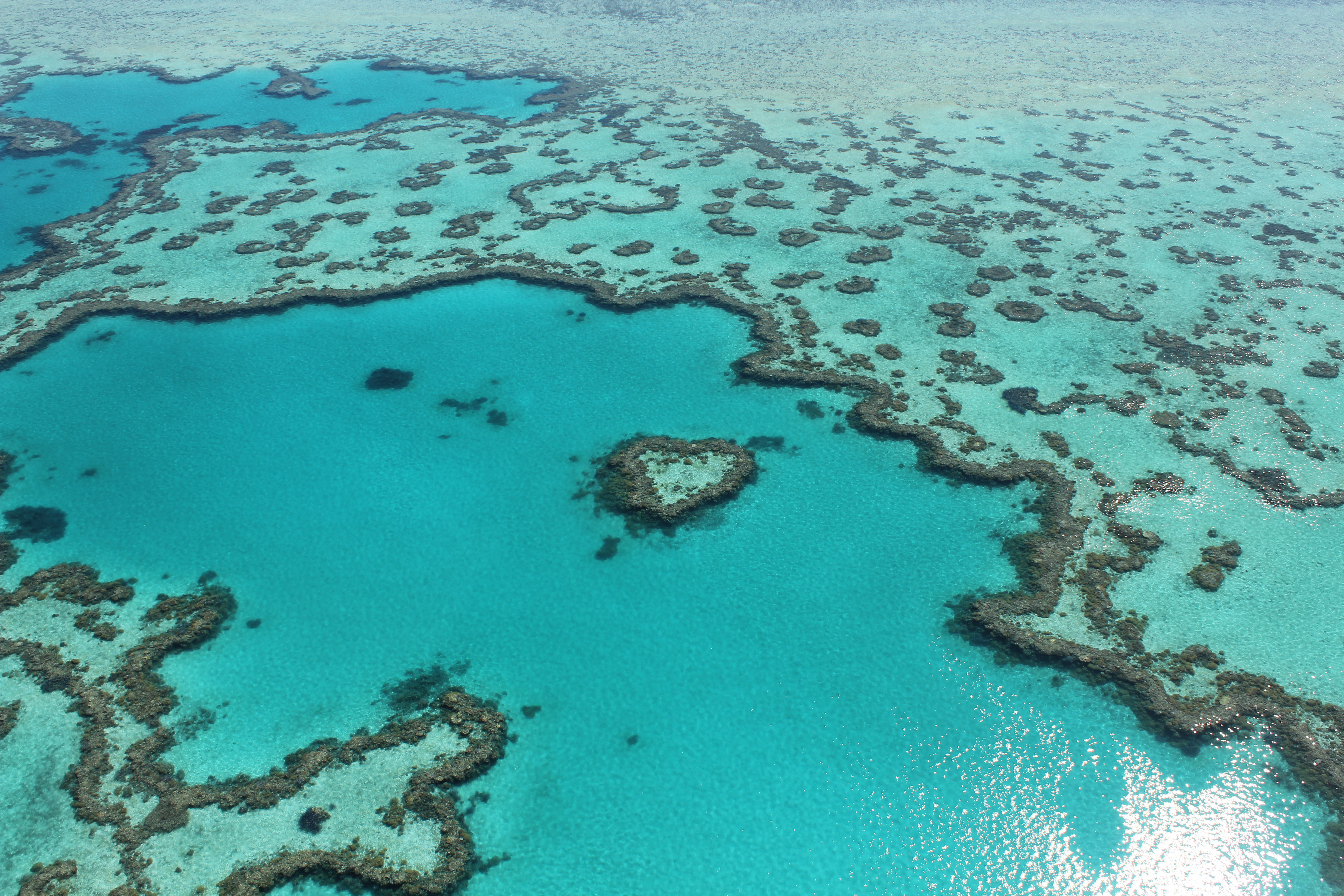 Heart Reef, Great Barrier Reef